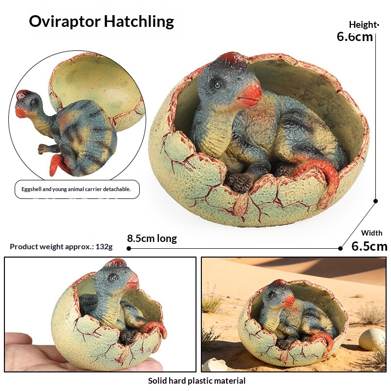 Dinosaur Egg Hatching Figure Realistic T-rex Spinosaurus Toy_voghion.com
