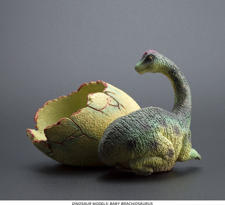 Grenzüberschreitendes, niedliches, realistisches Dinosaurier-Ei-Modell, solide, halb geschlüpfte, jurassische Triceratops, Brachiosaurus, Ankylosaurus Spielzeug_voghion.com