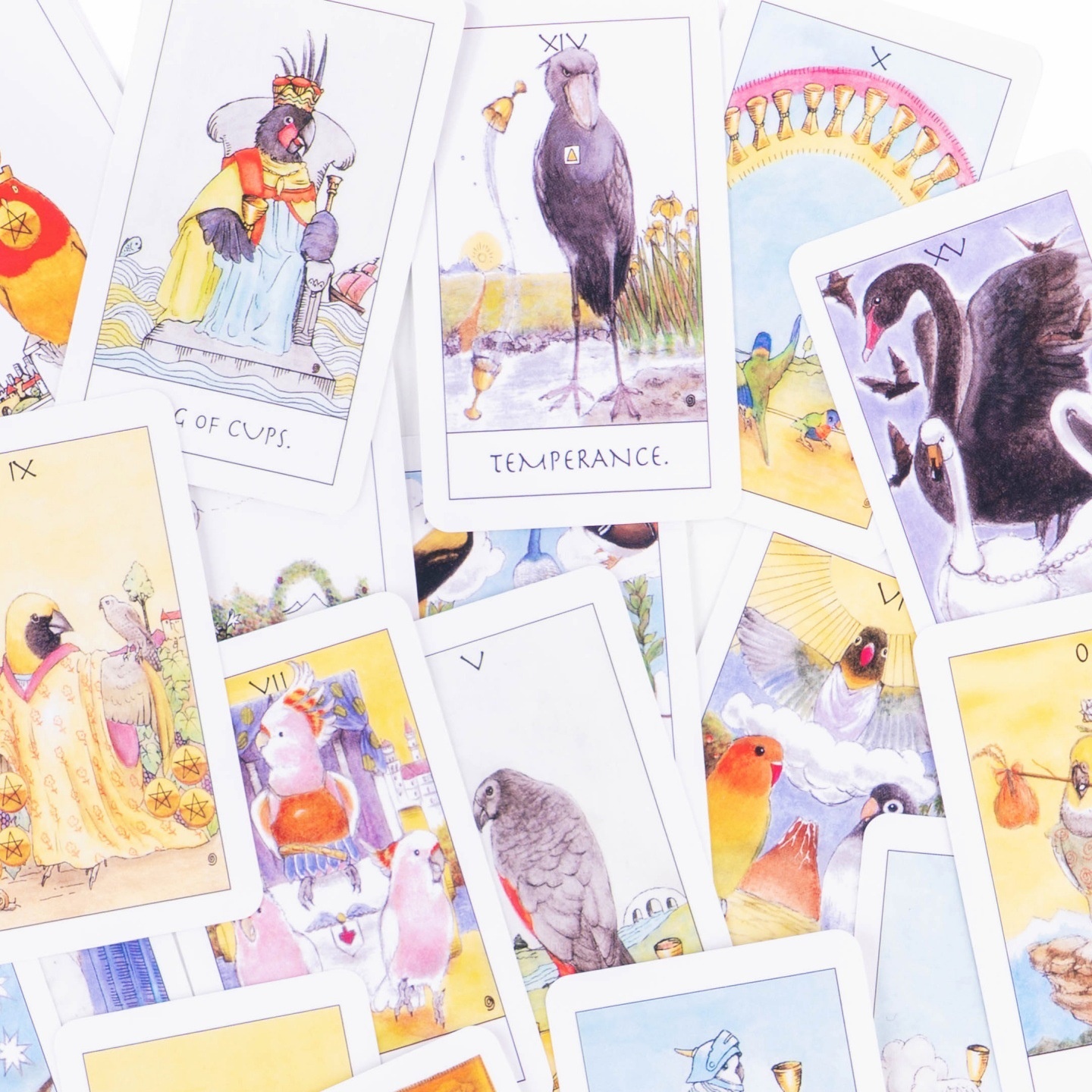Exquisite Tarot Cards - Original Parrot Card Deck_voghion.com