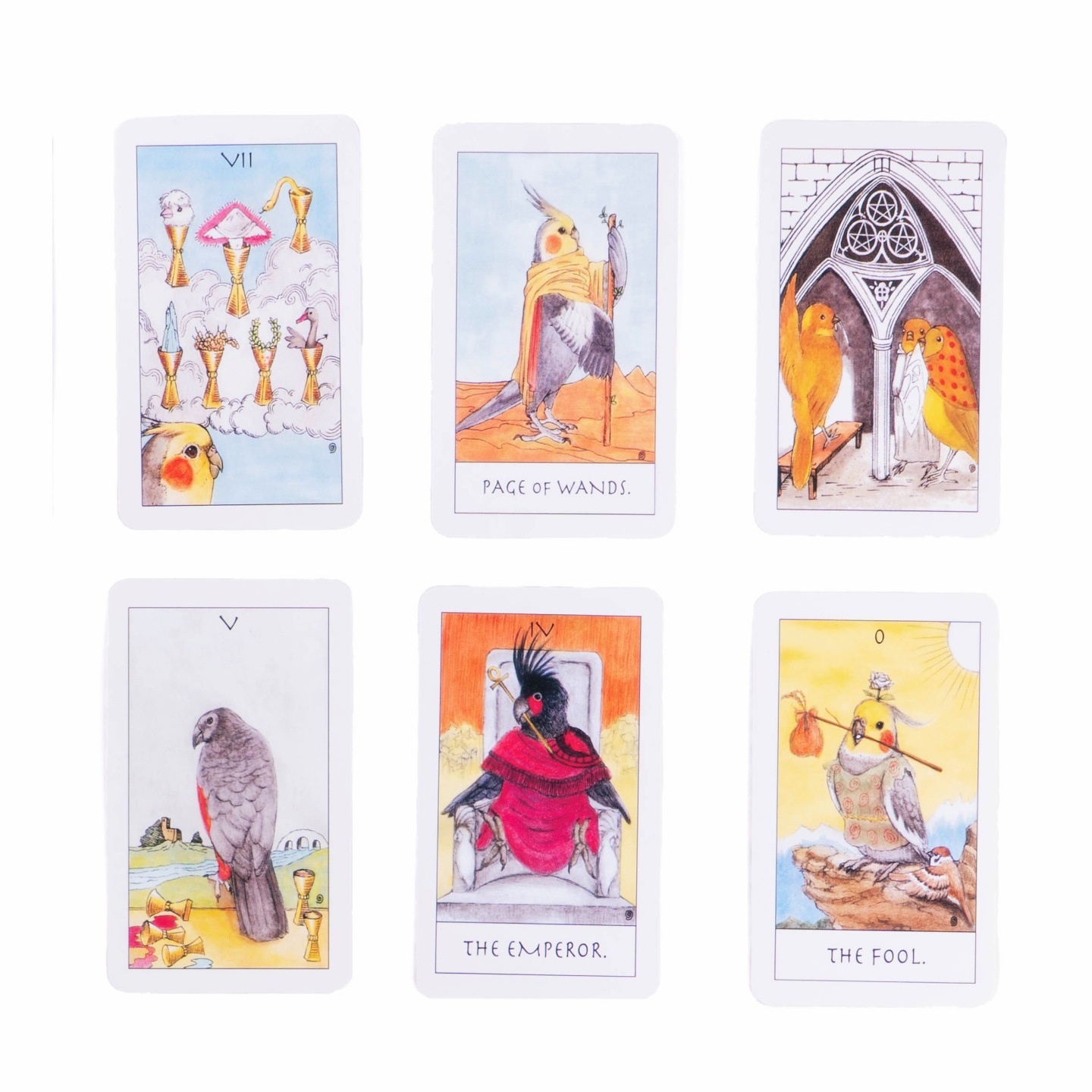 Exquisite Tarot Cards - Original Parrot Card Deck_voghion.com