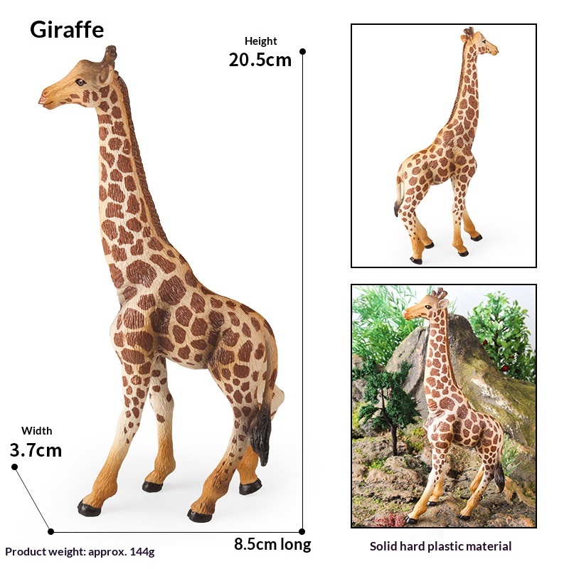Modèles d'animaux solides pour simulation cognitive : lion, tigre, éléphant, hippopotame, girafe, ours brun, kangourou, zèbre (jouet)_voghion.com