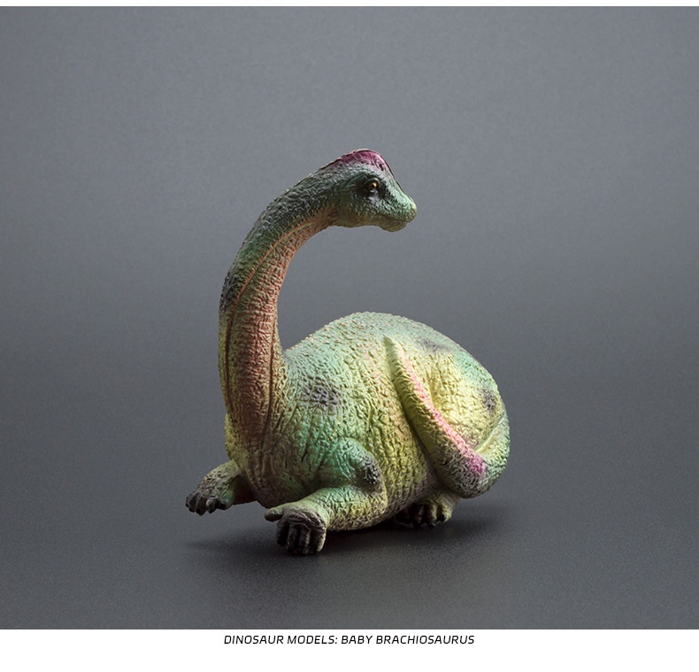 Grenzüberschreitendes, niedliches, realistisches Dinosaurier-Ei-Modell, solide, halb geschlüpfte, jurassische Triceratops, Brachiosaurus, Ankylosaurus Spielzeug_voghion.com