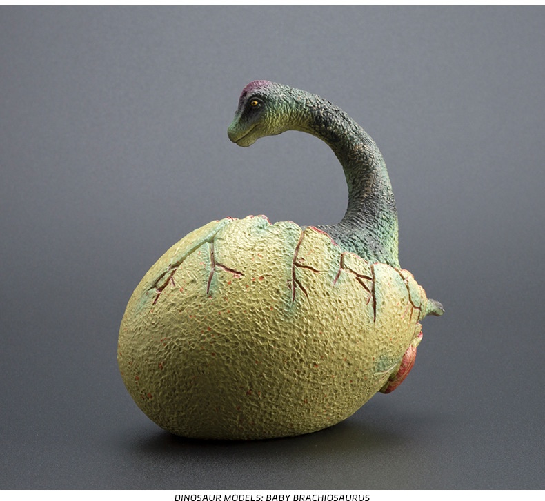 Grenzüberschreitendes, niedliches, realistisches Dinosaurier-Ei-Modell, solide, halb geschlüpfte, jurassische Triceratops, Brachiosaurus, Ankylosaurus Spielzeug_voghion.com