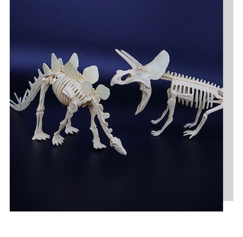 Archaeological Excavation Dinosaur Skeleton Model Toy For Kids_voghion.com