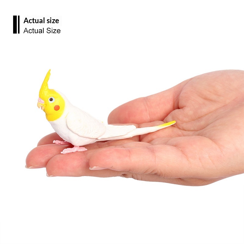 Simulation Wild Animal Model Bird Set Parrot Static Solid Cockatiel Children's Plastic Toy_voghion.com