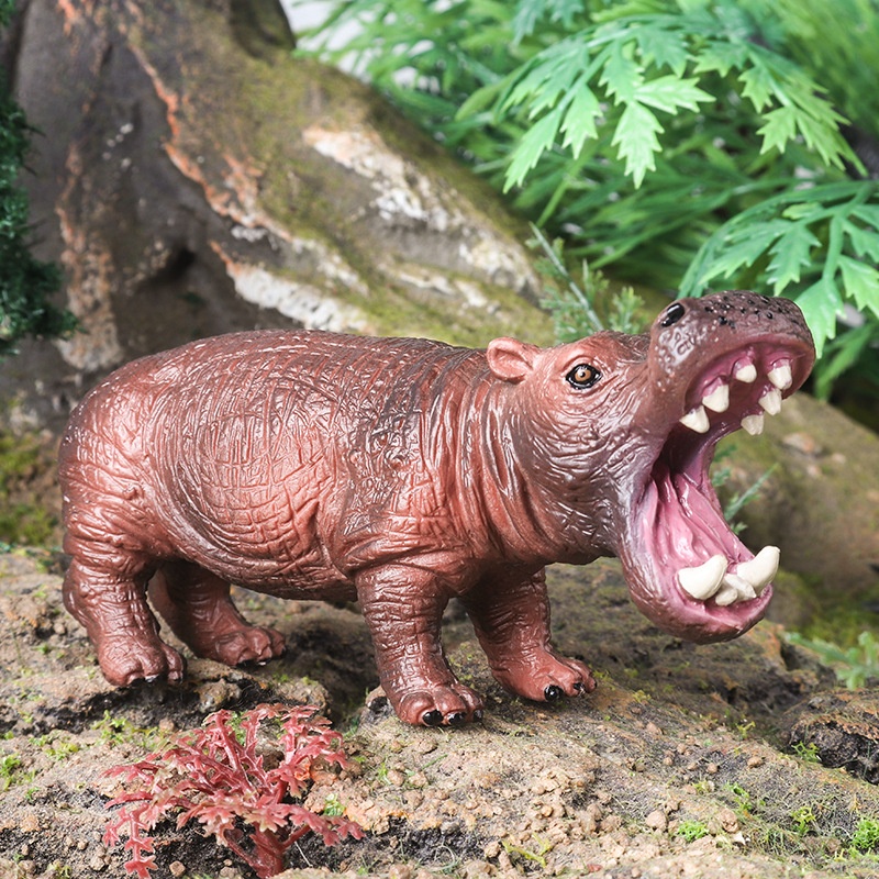 Modèles d'animaux solides pour simulation cognitive : lion, tigre, éléphant, hippopotame, girafe, ours brun, kangourou, zèbre (jouet)_voghion.com