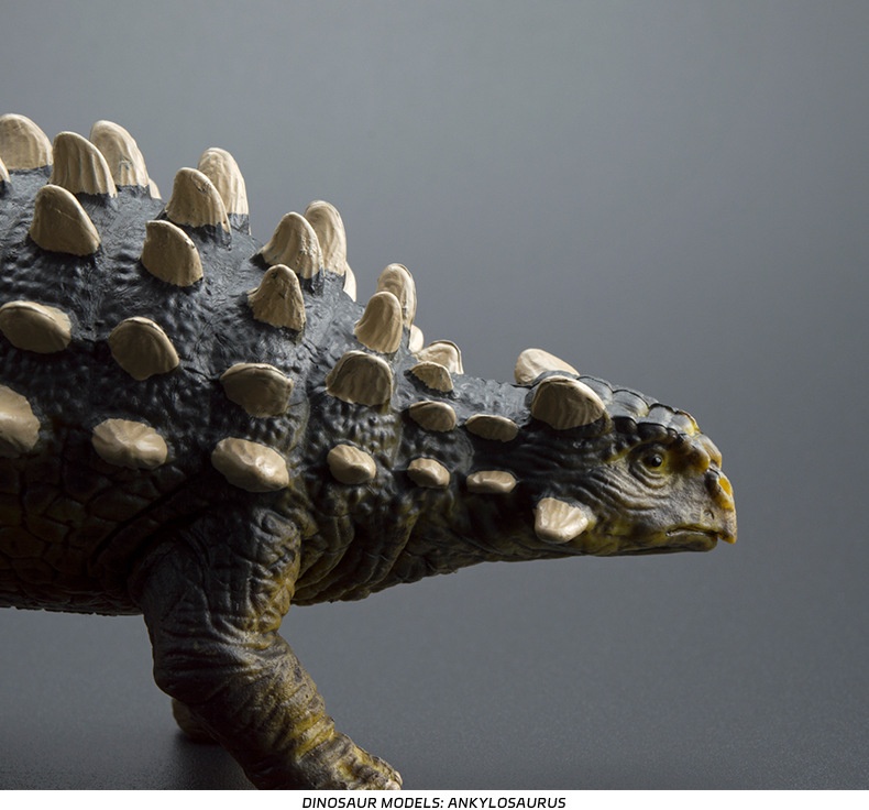 Statuetta realistica dinosauro ankylosaurus giocattolo_voghion.com