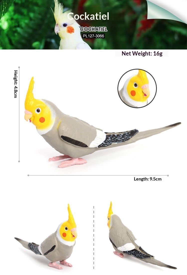 Simulation Wild Animal Model Bird Set Parrot Static Solid Cockatiel Children's Plastic Toy_voghion.com