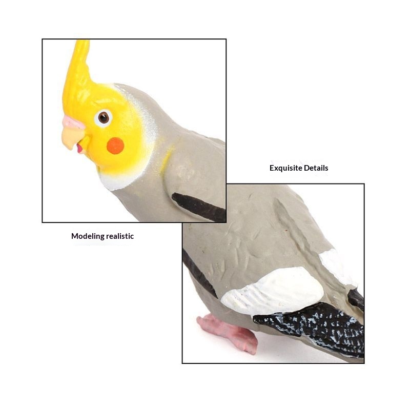 Simulation Wild Animal Model Bird Set Parrot Static Solid Cockatiel Children's Plastic Toy_voghion.com