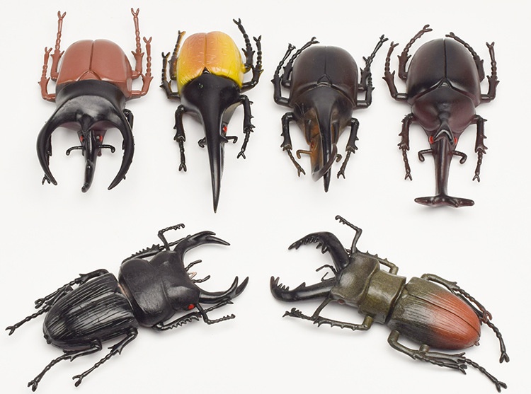 Statuetta animale scarabeo realistica giocattolo per bambini_voghion.com