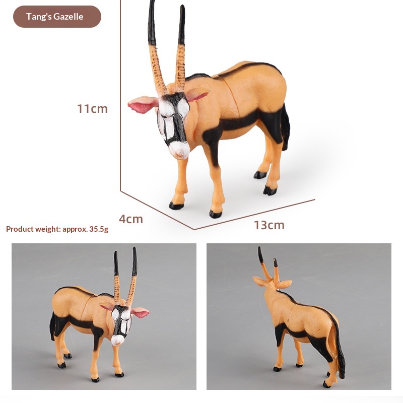 Educational Wildlife Animal Figures Set For Kids Early Learning_voghion.com