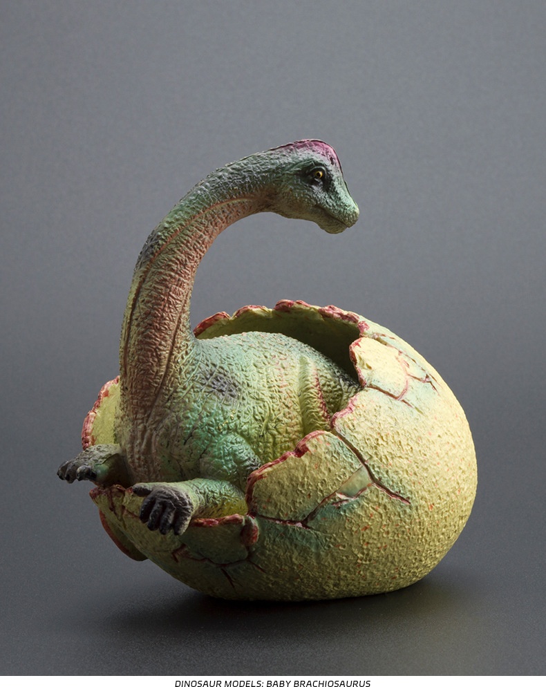 Grenzüberschreitendes, niedliches, realistisches Dinosaurier-Ei-Modell, solide, halb geschlüpfte, jurassische Triceratops, Brachiosaurus, Ankylosaurus Spielzeug_voghion.com