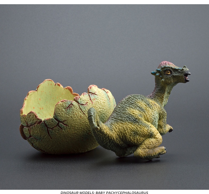 Grenzüberschreitendes, niedliches, realistisches Dinosaurier-Ei-Modell, solide, halb geschlüpfte, jurassische Triceratops, Brachiosaurus, Ankylosaurus Spielzeug_voghion.com