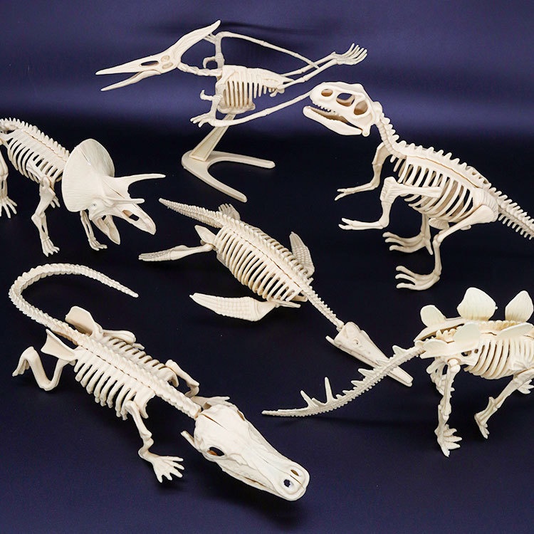 Archaological Xcavation Toy, Simulatd Dinosaur Sklton Static Modl Ornamnt, Childrn's DIY Ducational Toy_voghion.com