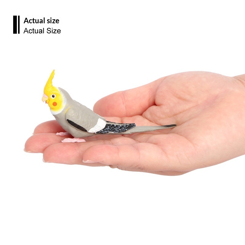 Simulation Wild Animal Model Bird Set Parrot Static Solid Cockatiel Children's Plastic Toy_voghion.com
