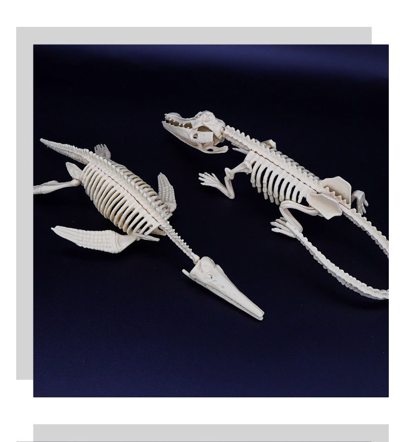 Archaeological Excavation Dinosaur Skeleton Model Toy For Kids_voghion.com