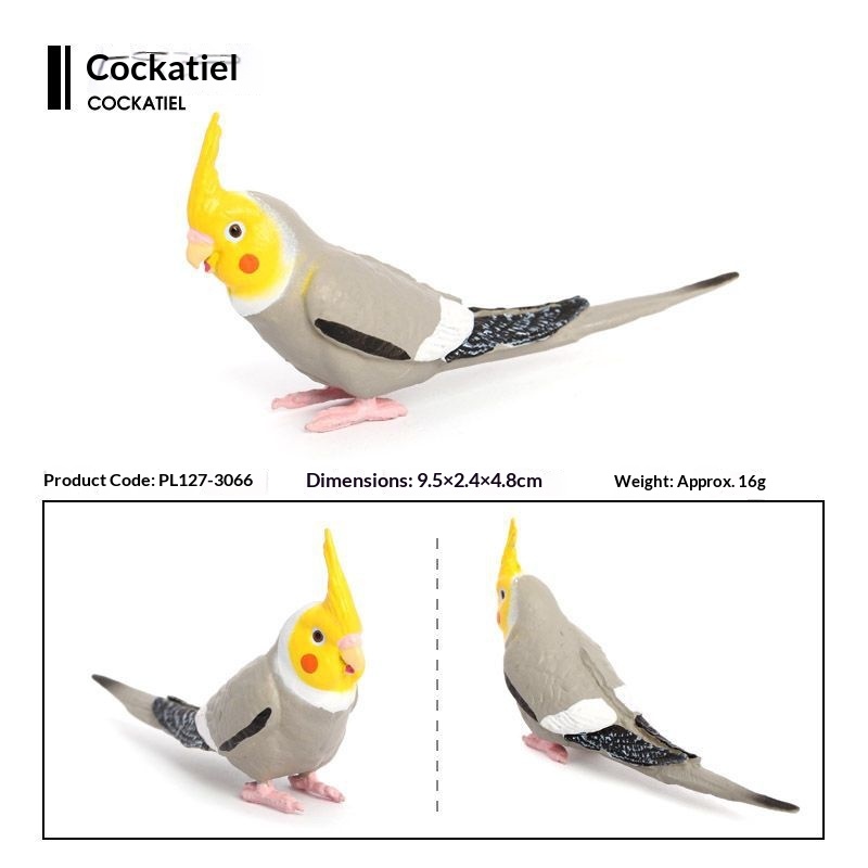 Simulation Wild Animal Model Bird Set Parrot Static Solid Cockatiel Children's Plastic Toy_voghion.com