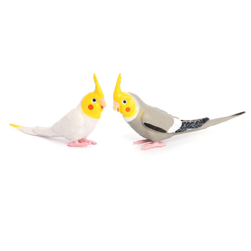 Simulation Wild Animal Model Bird Set Parrot Static Solid Cockatiel Children's Plastic Toy_voghion.com