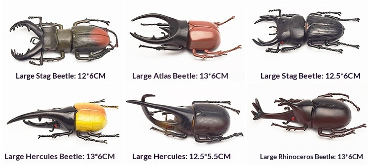 Statuetta animale scarabeo realistica giocattolo per bambini_voghion.com