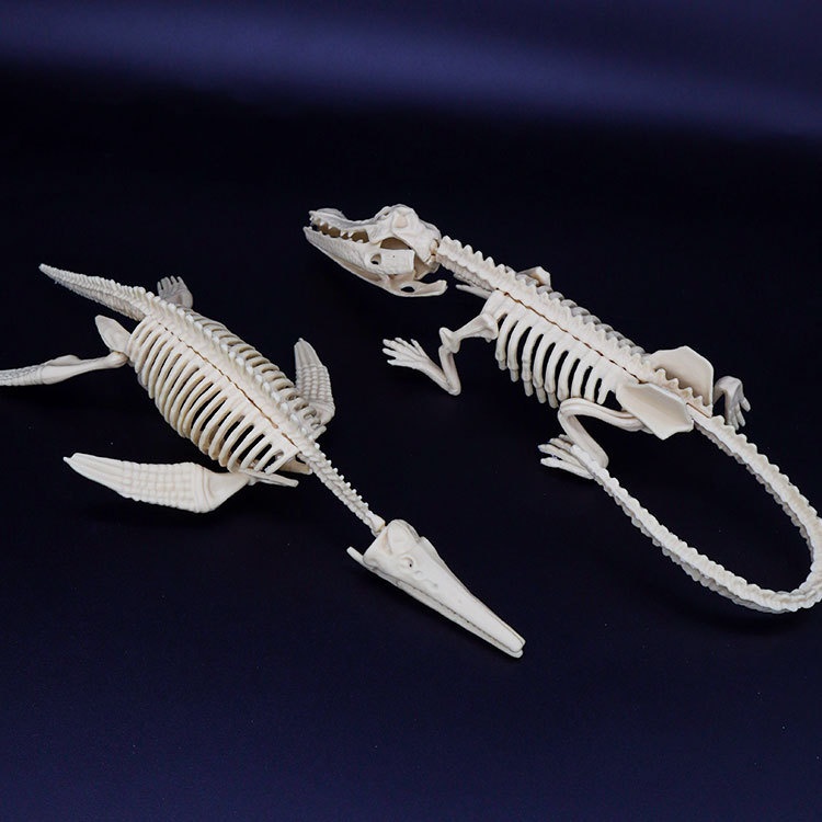 Archaological Xcavation Toy, Simulatd Dinosaur Sklton Static Modl Ornamnt, Childrn's DIY Ducational Toy_voghion.com