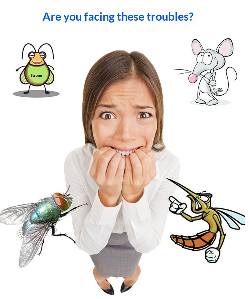 Ultrasonic Electromagnetic Electronic Killer Plug-in Mosquito Repellent Micro Light Wave Insect Mouse Repeller_voghion.com