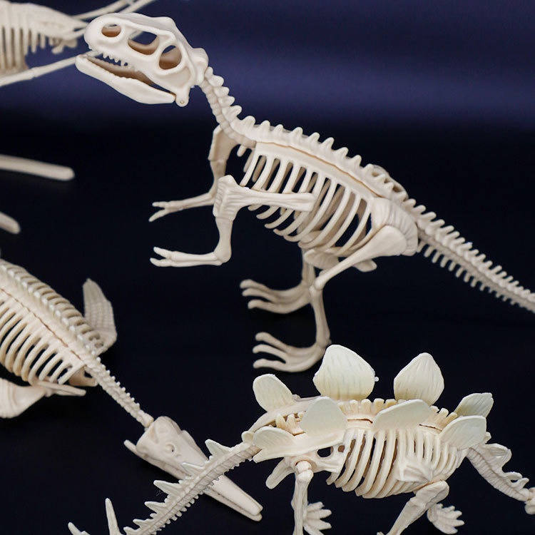Archaological Xcavation Toy, Simulatd Dinosaur Sklton Static Modl Ornamnt, Childrn's DIY Ducational Toy_voghion.com