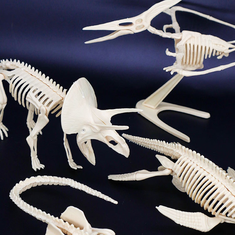 Archaological Xcavation Toy, Simulatd Dinosaur Sklton Static Modl Ornamnt, Childrn's DIY Ducational Toy_voghion.com