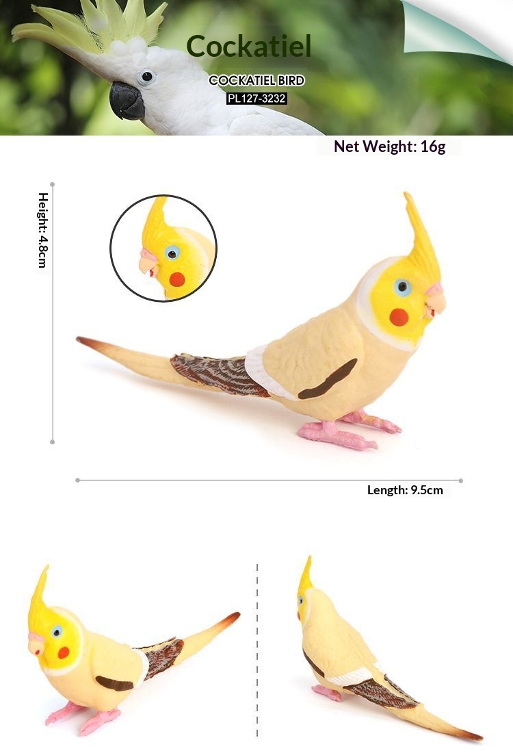 Simulation Wild Animal Model Bird Set Parrot Static Solid Cockatiel Children's Plastic Toy_voghion.com
