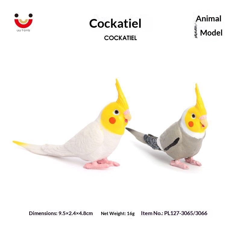 Simulation Wild Animal Model Bird Set Parrot Static Solid Cockatiel Children's Plastic Toy_voghion.com