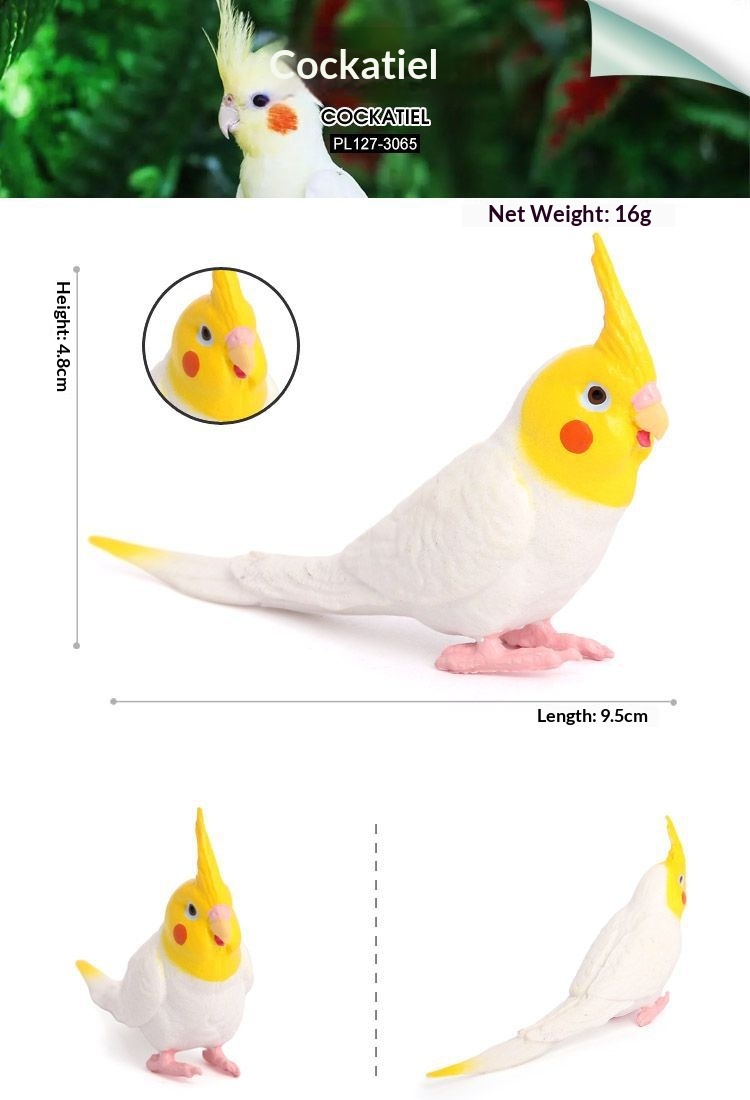 Simulation Wild Animal Model Bird Set Parrot Static Solid Cockatiel Children's Plastic Toy_voghion.com