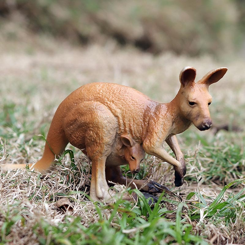 Modèles d'animaux solides pour simulation cognitive : lion, tigre, éléphant, hippopotame, girafe, ours brun, kangourou, zèbre (jouet)_voghion.com