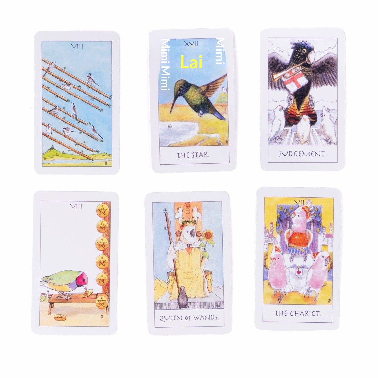 Exquisite Tarot Cards - Original Parrot Card Deck_voghion.com
