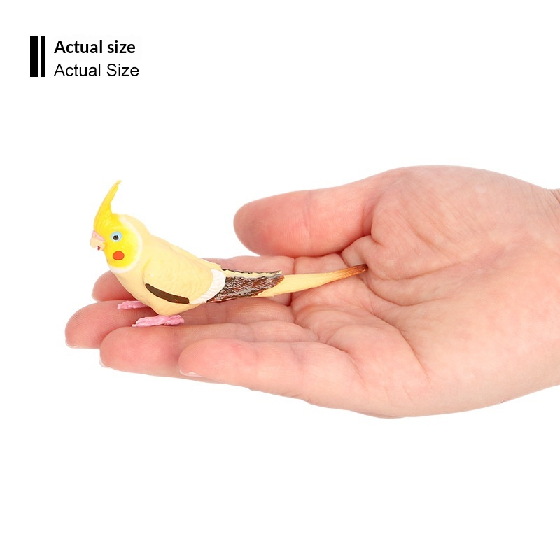 Simulation Wild Animal Model Bird Set Parrot Static Solid Cockatiel Children's Plastic Toy_voghion.com
