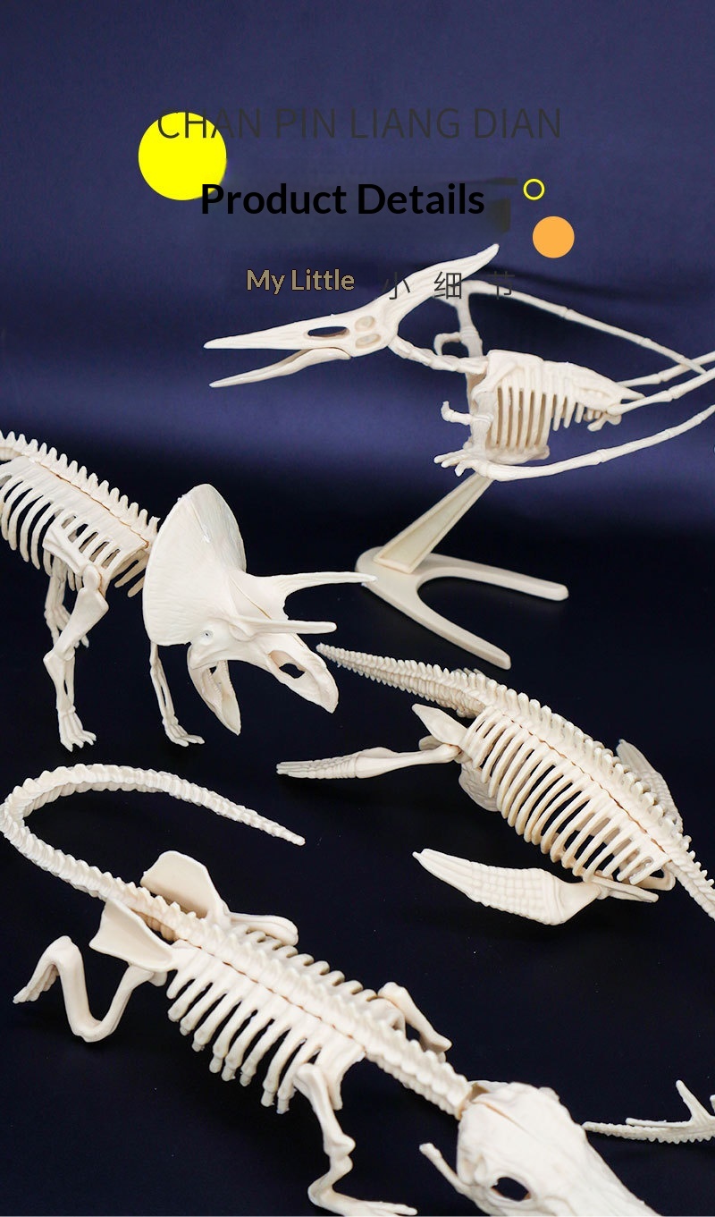 Archaeological Excavation Dinosaur Skeleton Model Toy For Kids_voghion.com