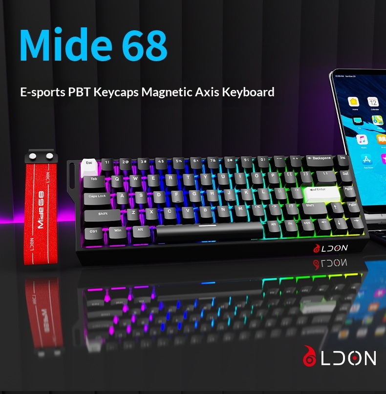 LDON 68 Tuşlu Manyetik Anahtarlı Mekanik Oyun FPS Evrensel RT0.01 Yüksek Performanslı Kablolu 8K Geri Dönüş Oranı_voghion.com