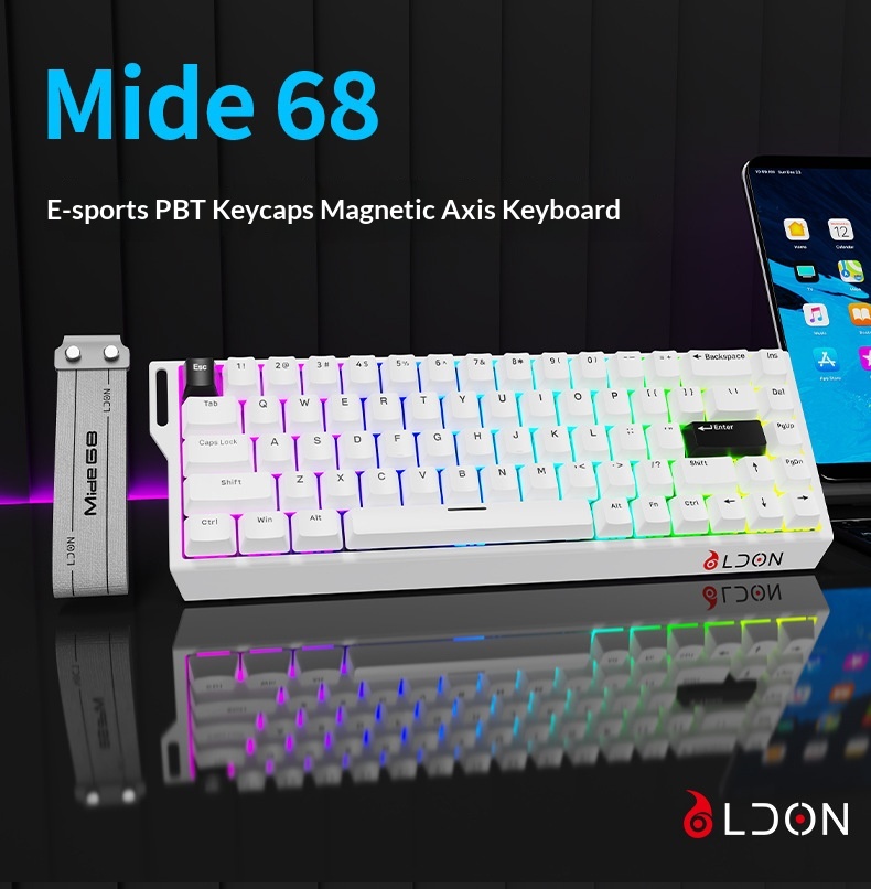 LDON 68 Tuşlu Manyetik Anahtarlı Mekanik Oyun FPS Evrensel RT0.01 Yüksek Performanslı Kablolu 8K Geri Dönüş Oranı_voghion.com