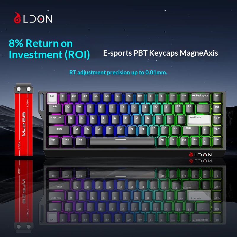 LDON 68 Tuşlu Manyetik Anahtarlı Mekanik Oyun FPS Evrensel RT0.01 Yüksek Performanslı Kablolu 8K Geri Dönüş Oranı_voghion.com