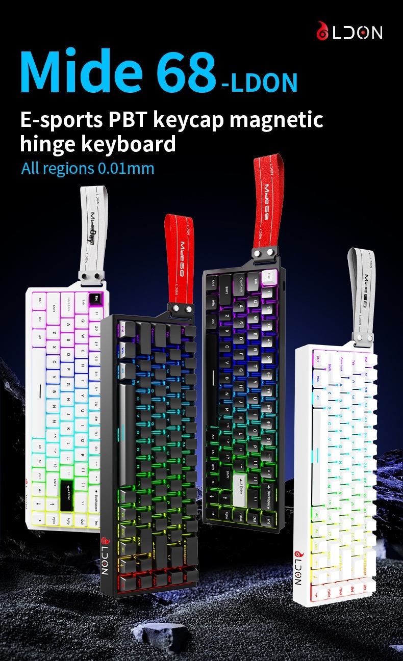 LDON 68 Tuşlu Manyetik Anahtarlı Mekanik Oyun FPS Evrensel RT0.01 Yüksek Performanslı Kablolu 8K Geri Dönüş Oranı_voghion.com