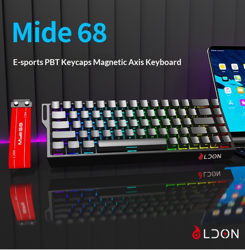 LDON 68 Tuşlu Manyetik Anahtarlı Mekanik Oyun FPS Evrensel RT0.01 Yüksek Performanslı Kablolu 8K Geri Dönüş Oranı_voghion.com