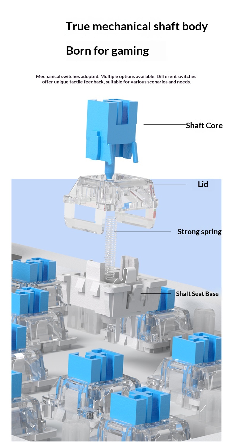 Teclado mecánico, con cable, inalámbrico, Bluetooth, intercambiable en caliente, apto para distribución de 98 teclas, estructura de junta, disponible para_voghion.com