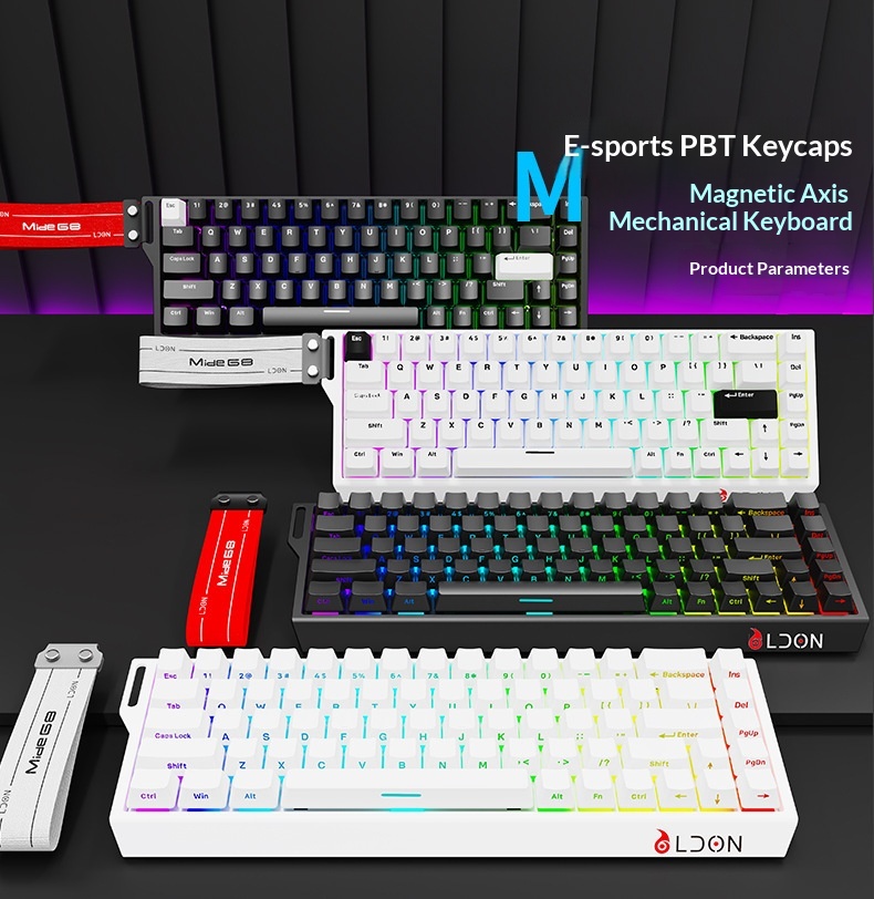 LDON 68 Tuşlu Manyetik Anahtarlı Mekanik Oyun FPS Evrensel RT0.01 Yüksek Performanslı Kablolu 8K Geri Dönüş Oranı_voghion.com