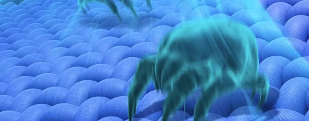 Draadloze autostofzuiger met supersterke zuigkracht en hoog vermogen, ideaal voor tweeërlei gebruik._voghion.com