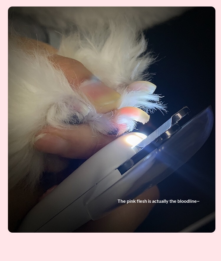 Light-nail close-up
